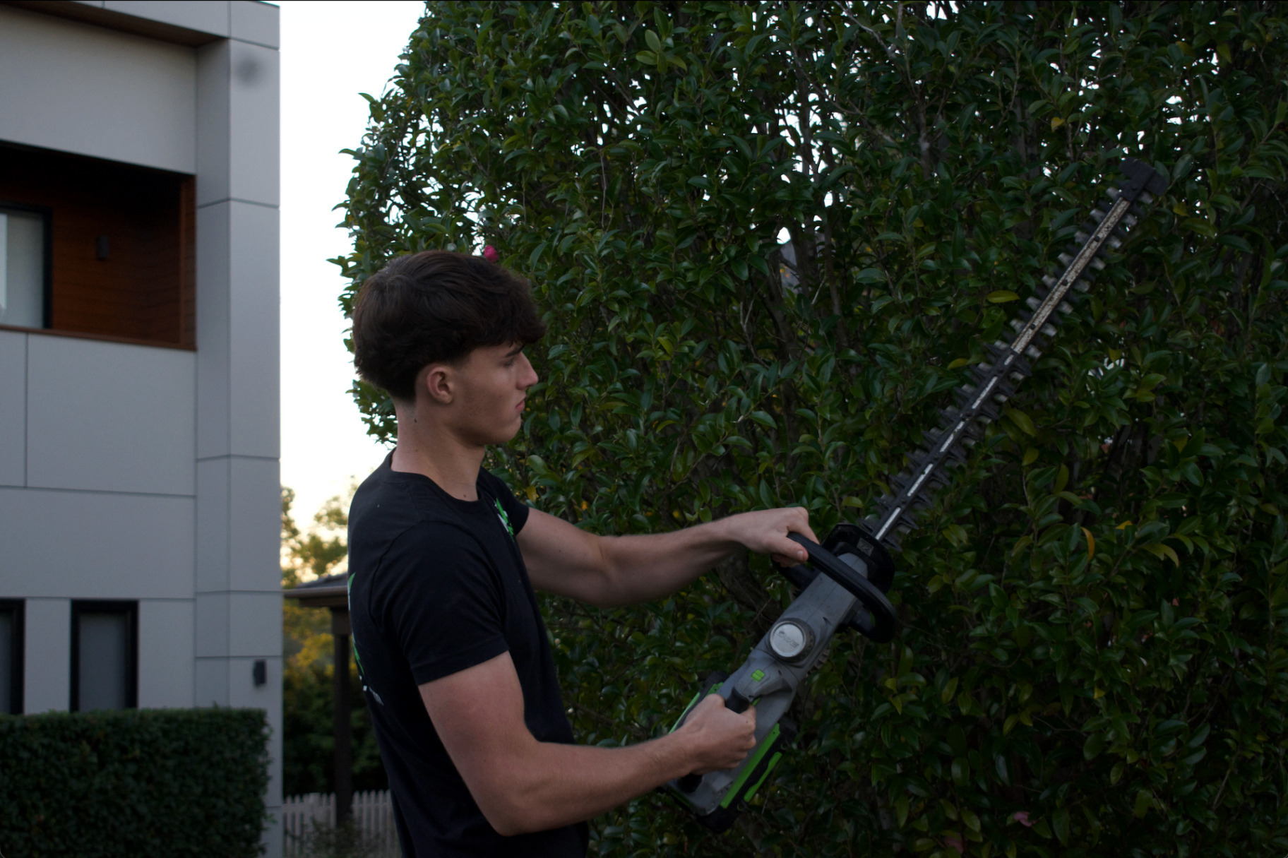 A leafy green hedge being trimmed with shears