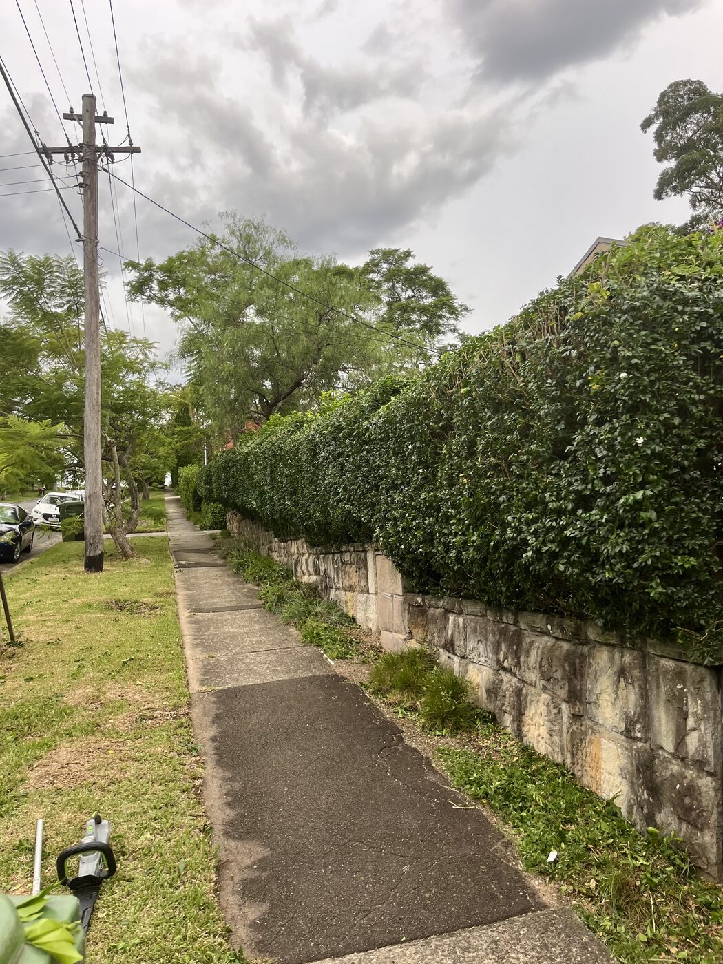 After — Street hedge along sandstone wall