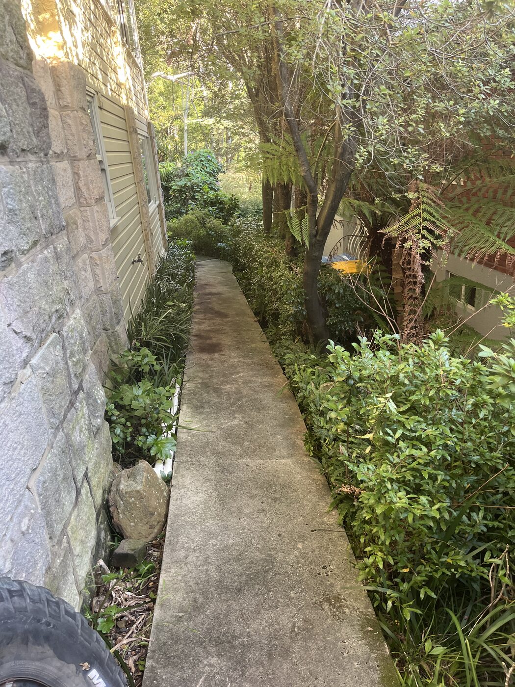 After — Front lawn mow