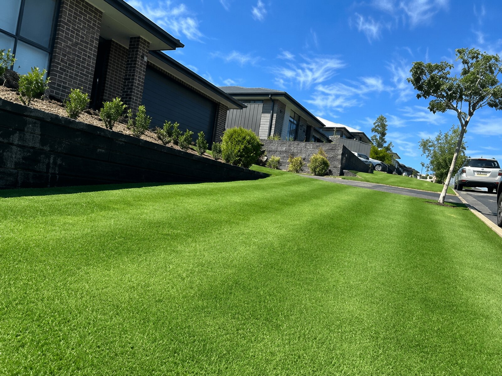 A vibrant healthy green lawn after fertilisation