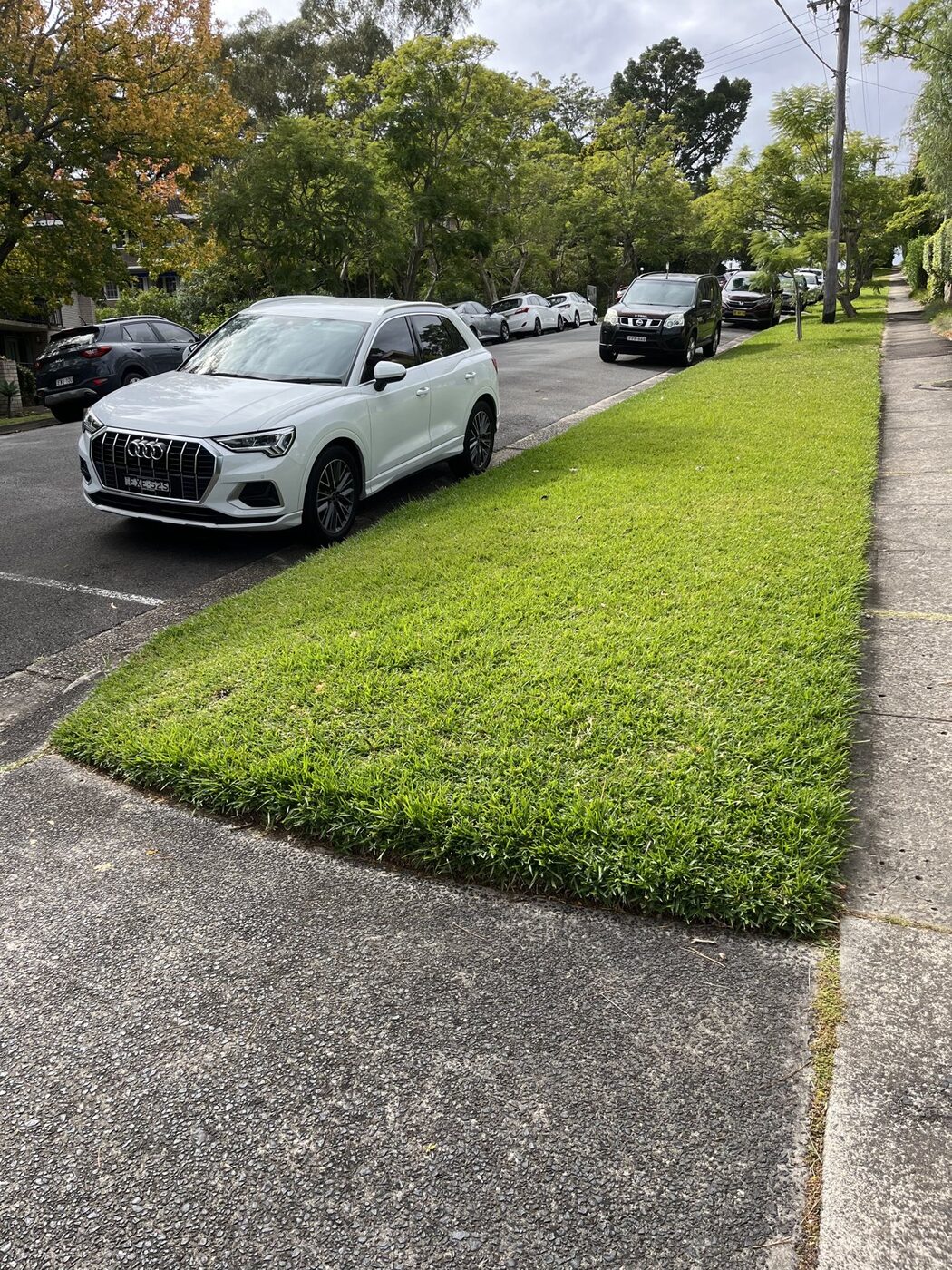 Before — Nature strip lawn restored to lush green