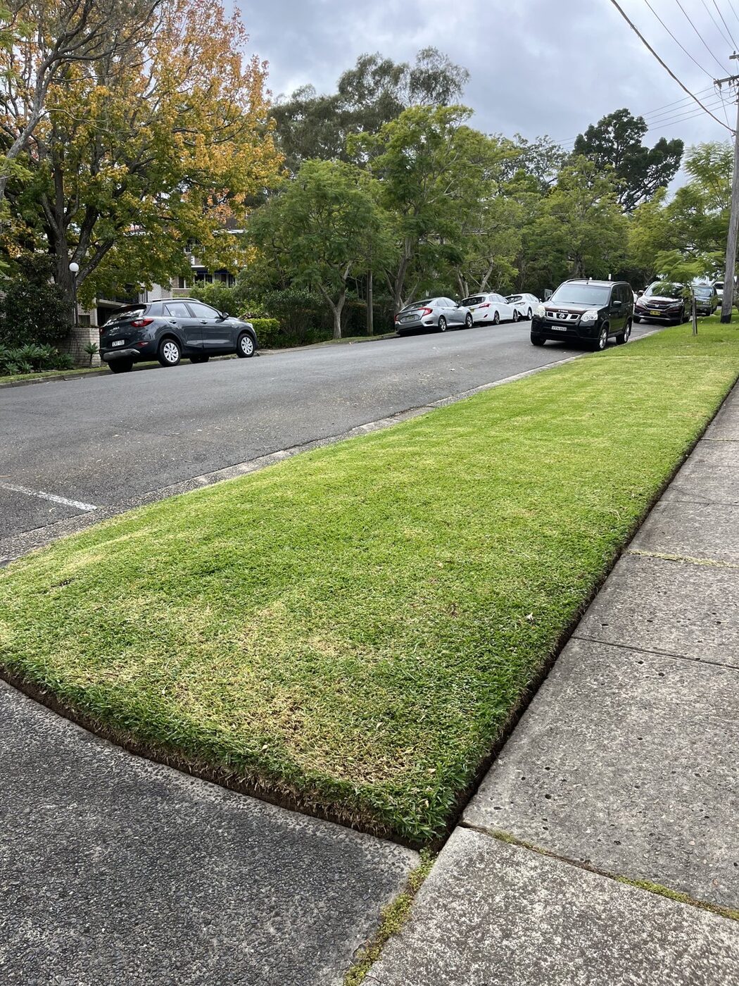 After — Nature strip lawn restored to lush green