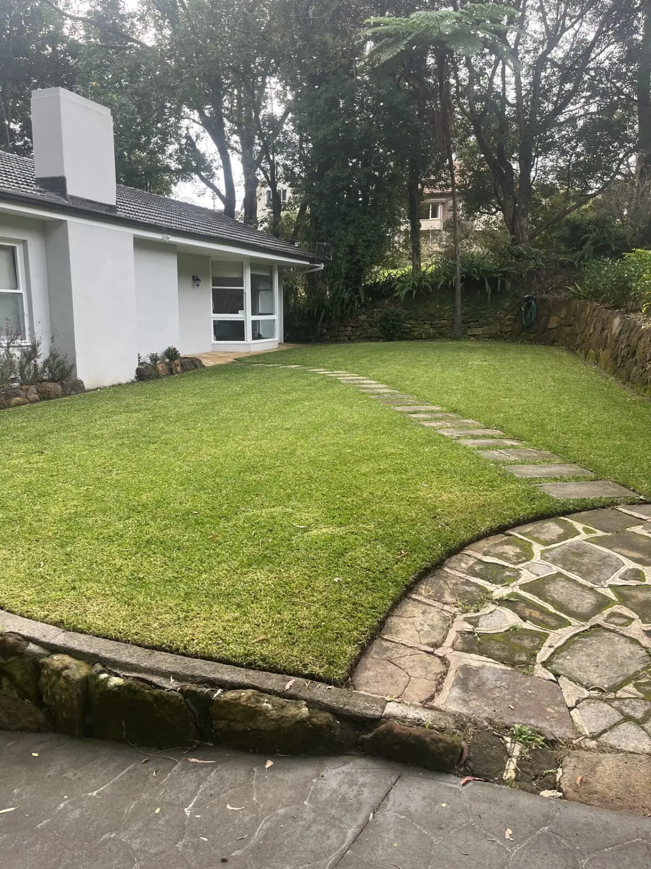 After lawn mowing in Lindfield