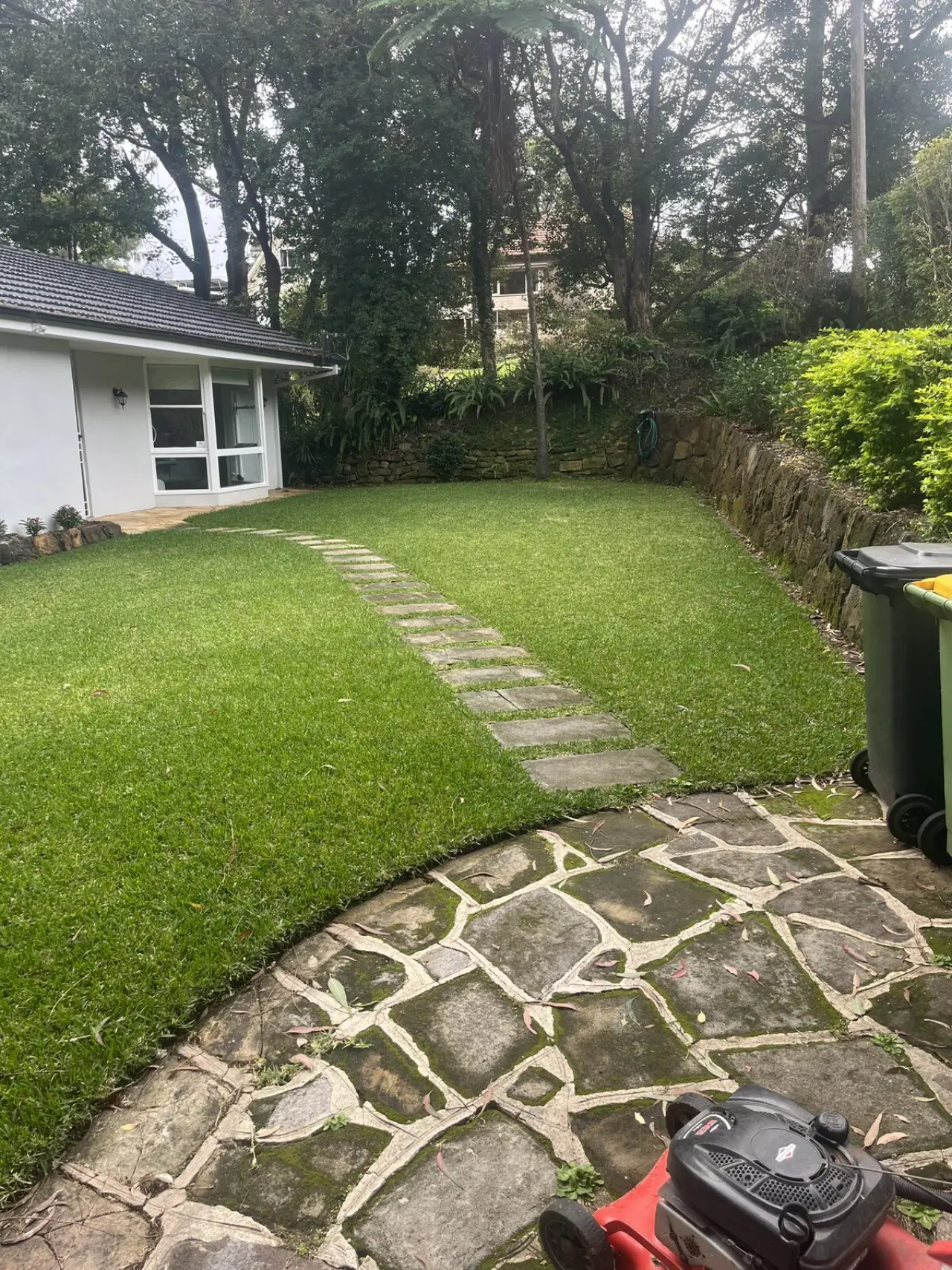 Before lawn mowing in Lindfield