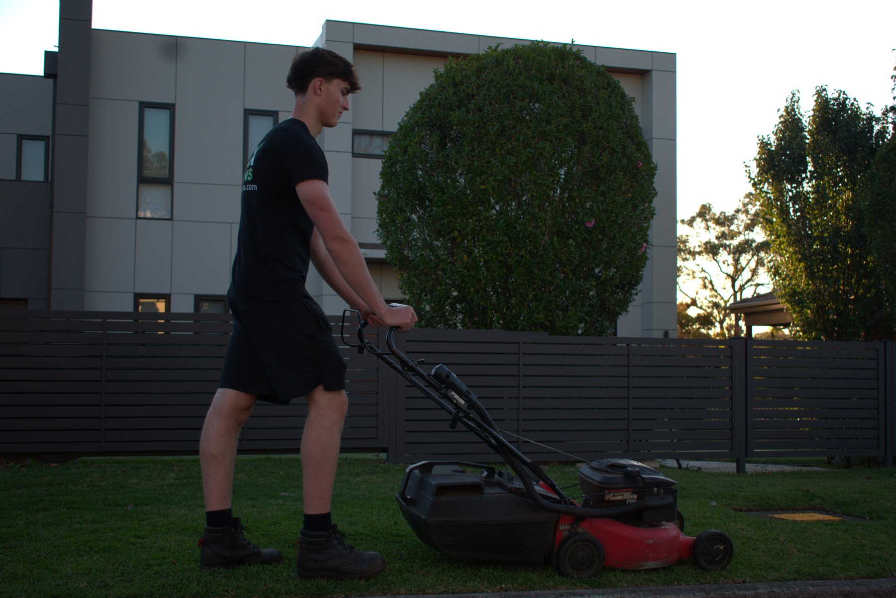 Max pushing mower on a clean lawn