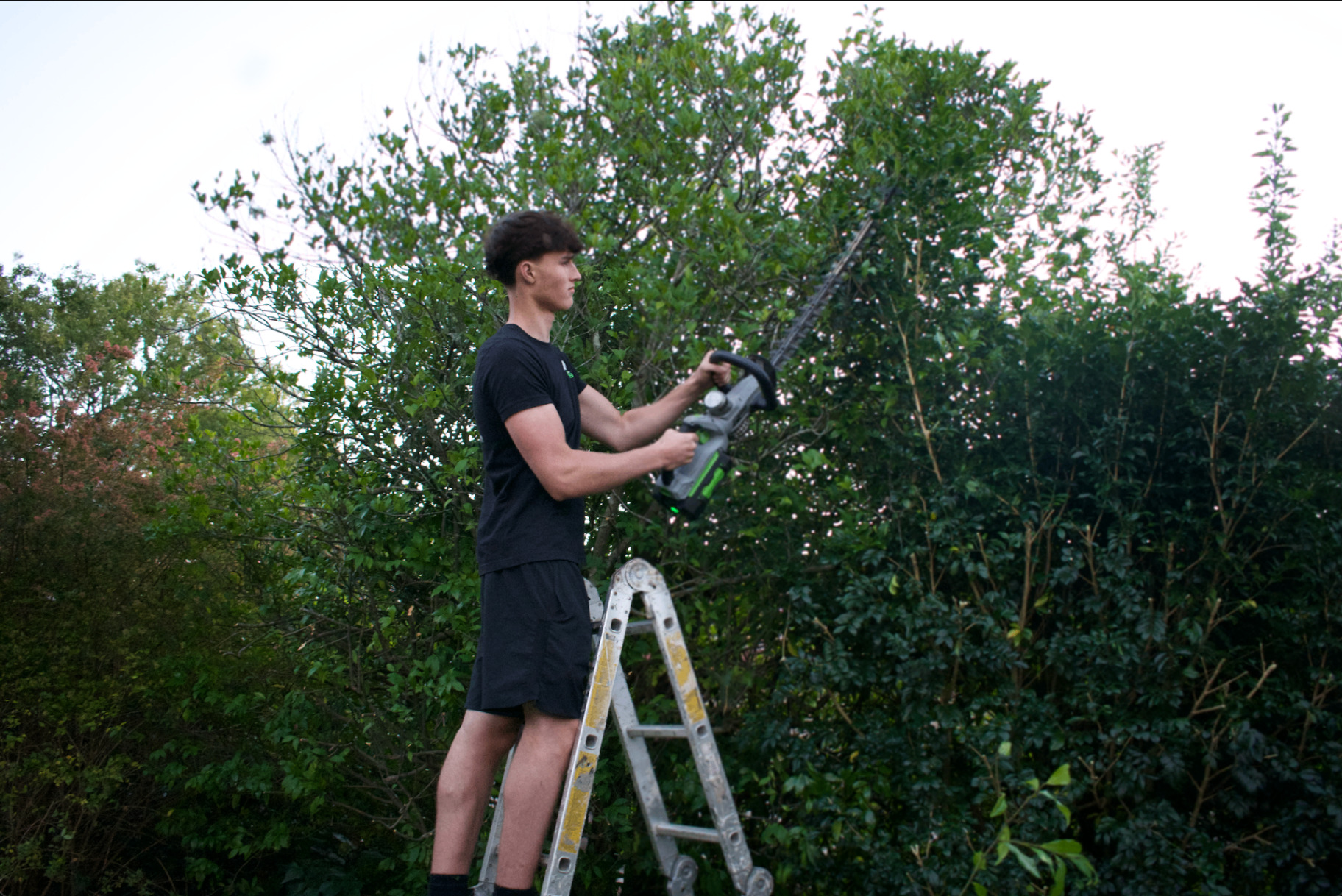Max trimming hedge with hedger