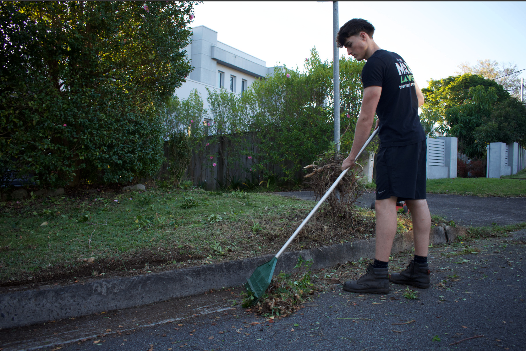 Hedge clippings being cleaned up