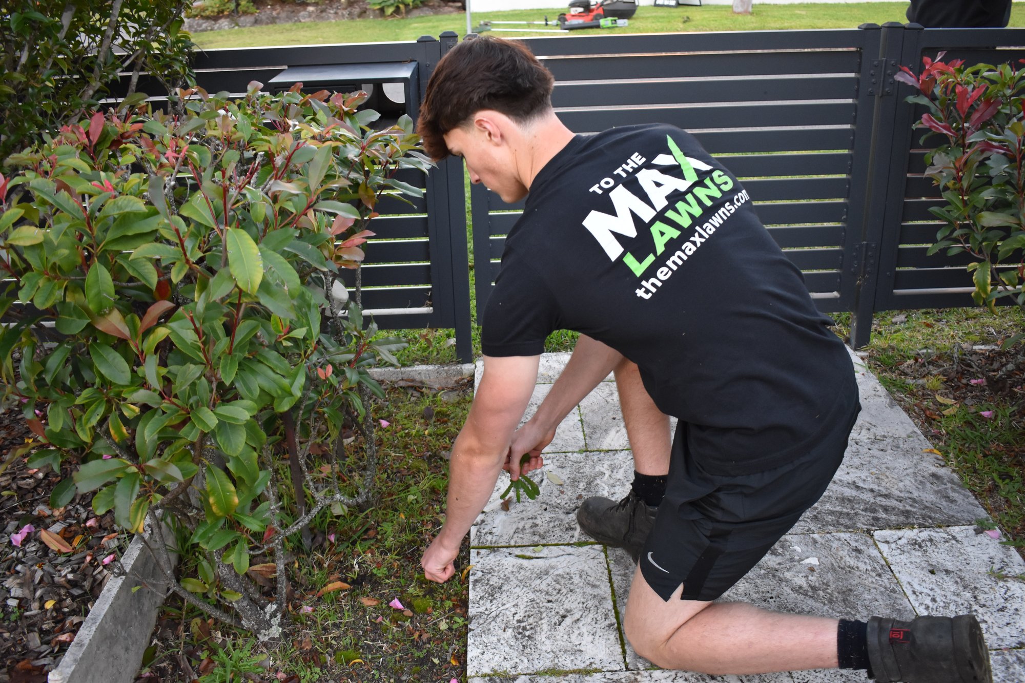Hands in gardening gloves weeding a fresh garden bed